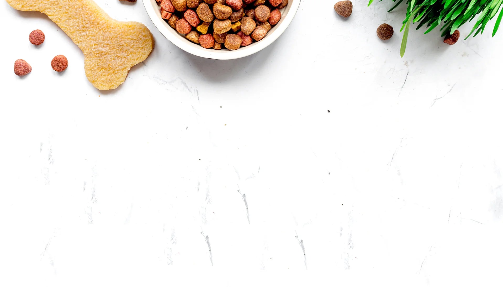 immagine di sfondo con crocchette per cani e gatti